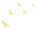 20240506101151_4264