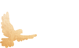 20250928164804_0444
