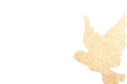 20250928164804_4224